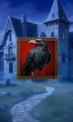 Jack O'Wild
